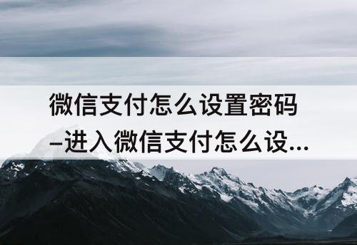 微信支付怎么设置密码-进入微信支付怎么设置密码