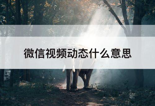 微信视频动态什么意思