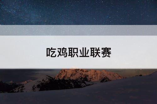 吃鸡职业联赛