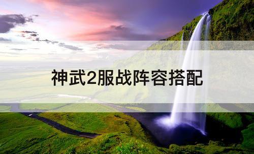 神武2服战阵容搭配