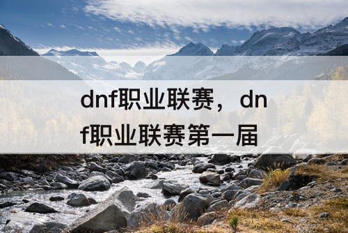 dnf职业联赛，dnf职业联赛第一届