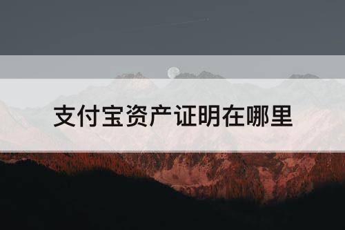 支付宝资产证明在哪里