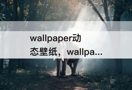 wallpaper动态壁纸，wallpaper动态壁纸下载PC软件