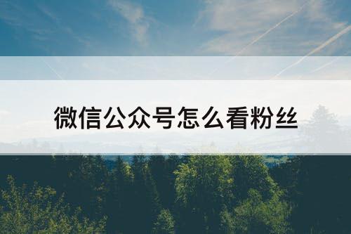 微信公众号怎么看粉丝