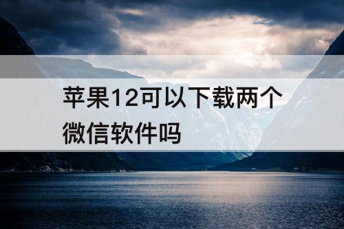 苹果12可以下载两个微信软件吗