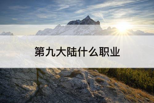 第九大陆什么职业