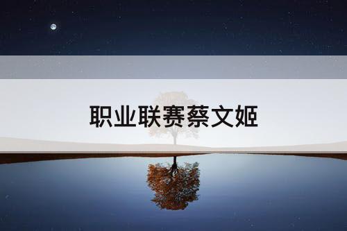 职业联赛蔡文姬
