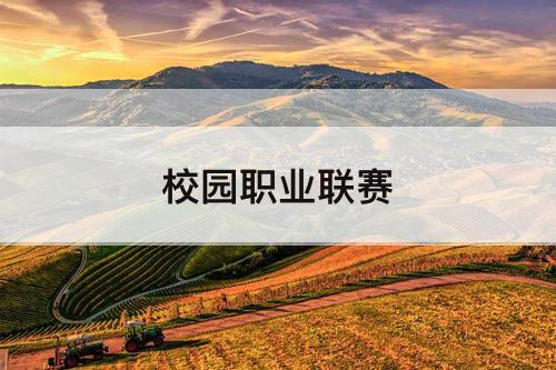 校园职业联赛