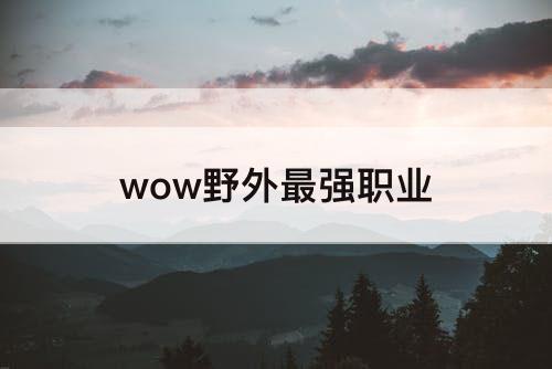 wow野外最强职业
