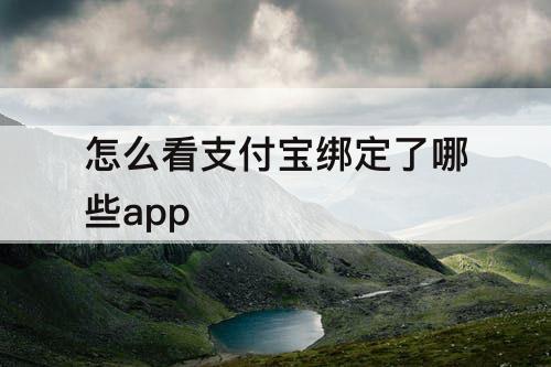 怎么看支付宝绑定了哪些app