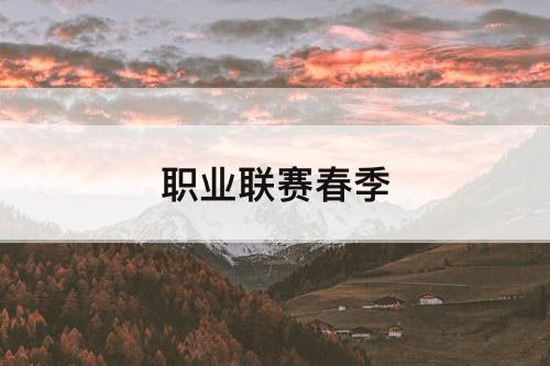 职业联赛春季