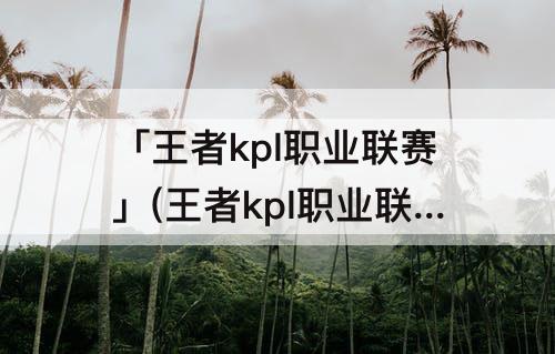 「王者kpl职业联赛」(王者kpl职业联赛有用原皮的吗?)