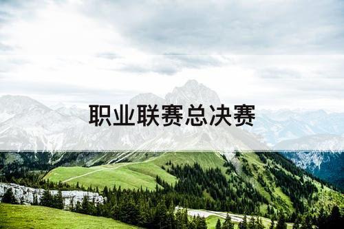 职业联赛总决赛
