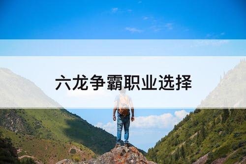六龙争霸职业选择
