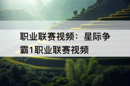 职业联赛视频：星际争霸1职业联赛视频