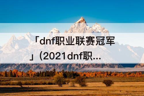 「dnf职业联赛冠军」(2021dnf职业联赛冠军是谁)