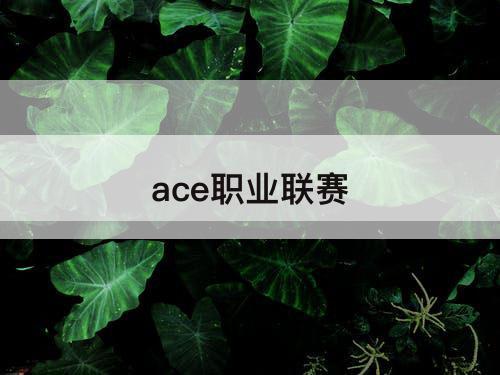 ace职业联赛