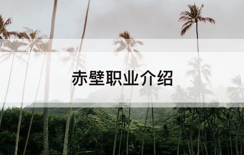赤壁职业介绍
