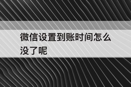 微信设置到账时间怎么没了呢