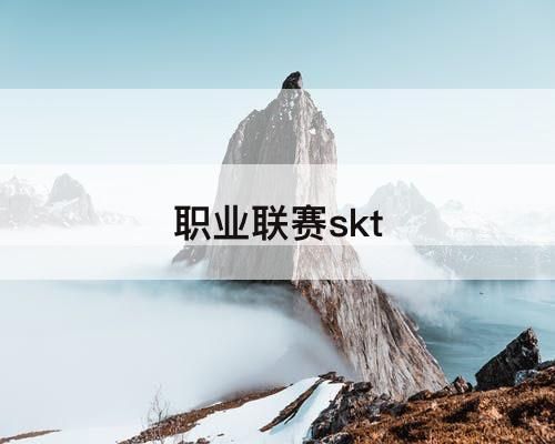 职业联赛skt