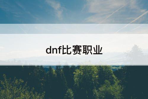dnf比赛职业