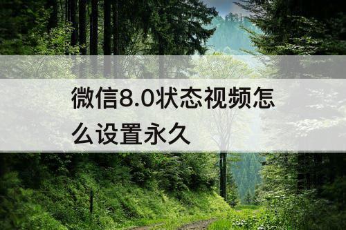 微信8.0状态视频怎么设置永久