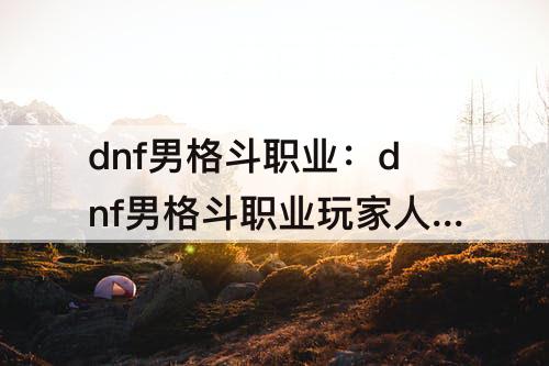 dnf男格斗职业：dnf男格斗职业玩家人数