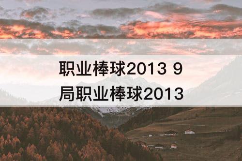 职业棒球2013 9局职业棒球2013