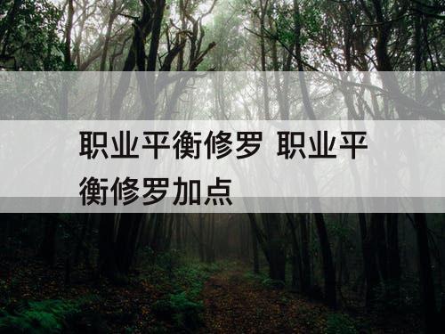 职业平衡修罗 职业平衡修罗加点
