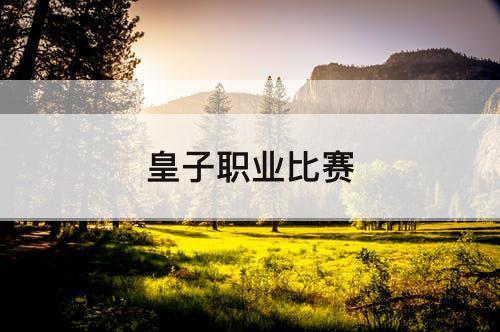 皇子职业比赛