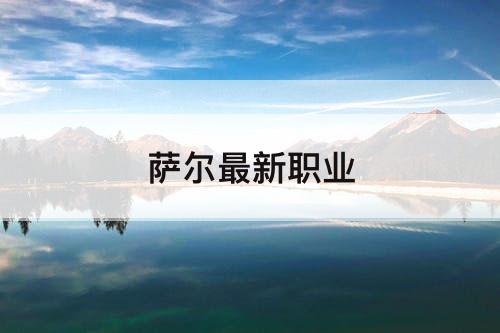 萨尔最新职业