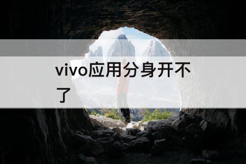 vivo应用分身开不了