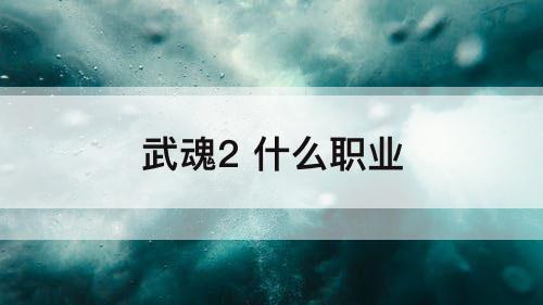 武魂2 什么职业
