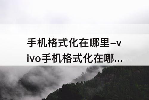 手机格式化在哪里-vivo手机格式化在哪里面找