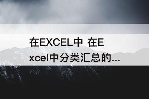 在EXCEL中 在Excel中分类汇总的默认汇总方式是求和