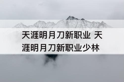 天涯明月刀新职业 天涯明月刀新职业少林