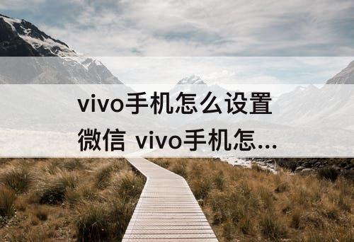 vivo手机怎么设置微信 vivo手机怎么设置微信主题?