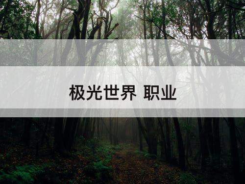 极光世界 职业