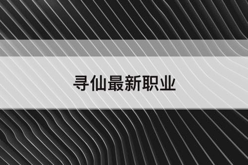 寻仙最新职业