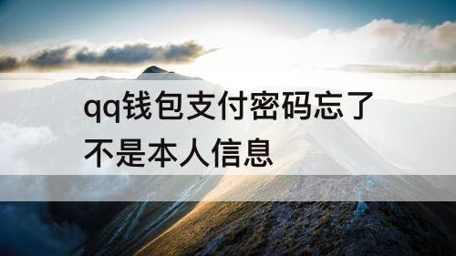 qq钱包支付密码忘了不是本人信息