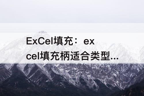ExCel填充：excel填充柄适合类型的数据