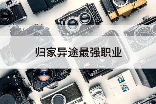 归家异途最强职业