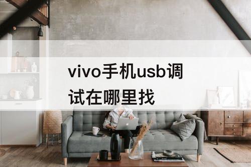 vivo手机usb调试在哪里找