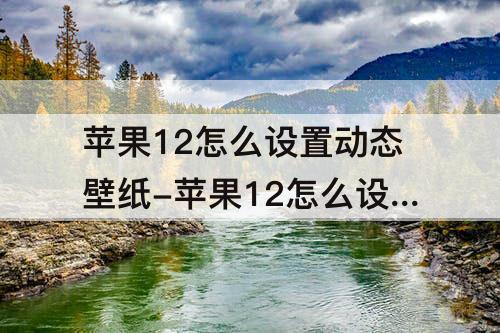 苹果12怎么设置动态壁纸-苹果12怎么设置动态壁纸不用长按