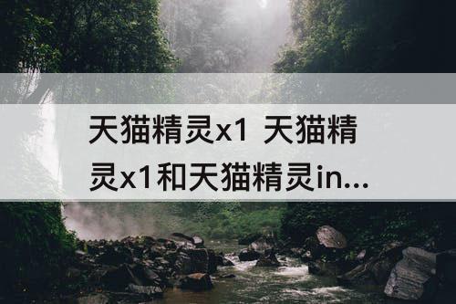 天猫精灵x1 天猫精灵x1和天猫精灵in糖那个好