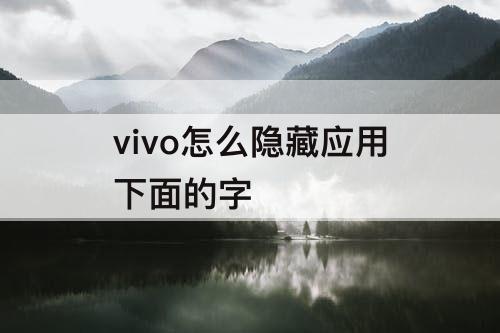 vivo怎么隐藏应用下面的字