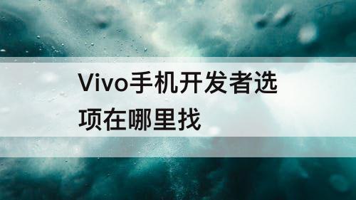 Vivo手机开发者选项在哪里找