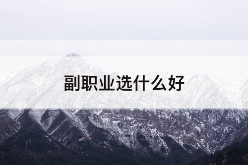 副职业选什么好