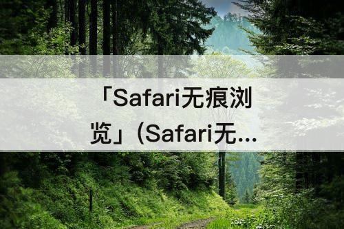 「Safari无痕浏览」(Safari无痕浏览模式)