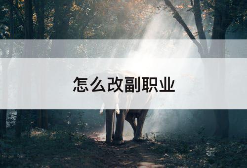 怎么改副职业